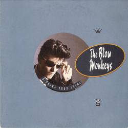 The Blow Monkeys : Digging Your Scene